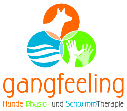 Gangfeeling Logo